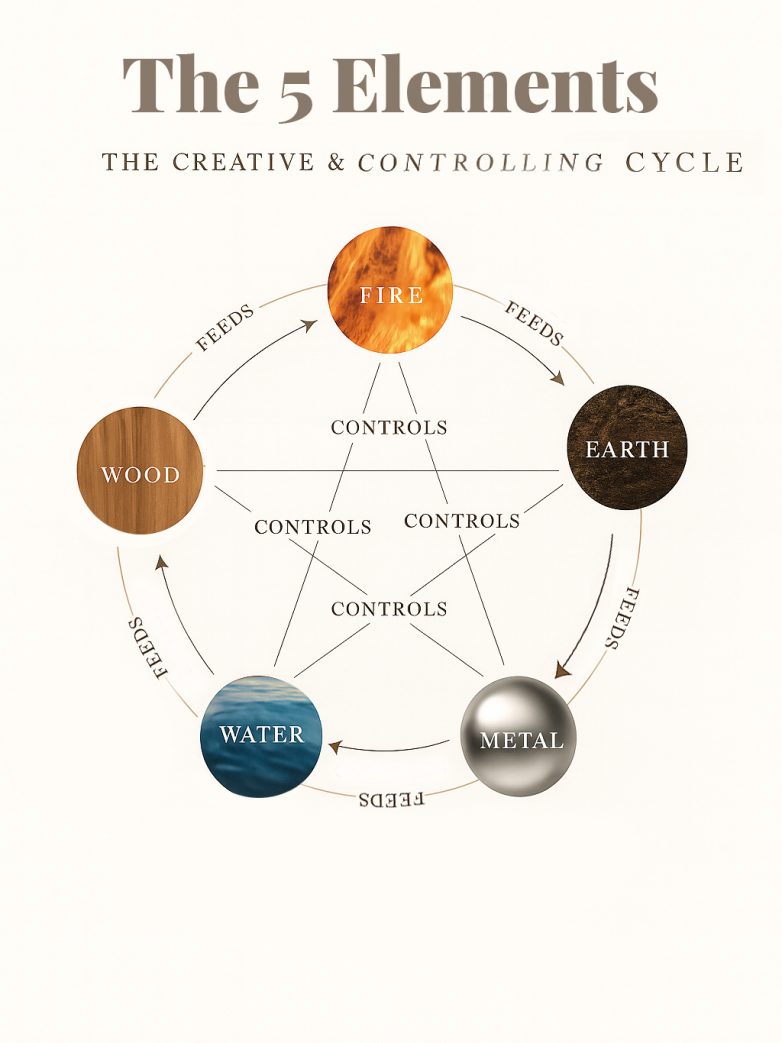 Feng Shui 5 Elements: A Beginner’s Guide to Balance Your Home for Harmony & Energy